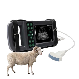 Meilleures Ventes Chèvre Échographie Mouton Portable Machine <span class=keywords><strong>À</strong></span> Ultrasons Sonar Scanners Usg Portable Echosonogramme pour Truies - Product Image 1