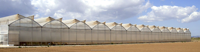 Grande Serre Gothique pour l'Agriculture Multi Span Poly Film Low Cost PE Material Sale pour Grande Serre Gothique