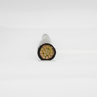 Cable de Alimentación de Cobre Meygo para Computadora, Bajo Voltaje DC1000V, Tamaño Personalizable
