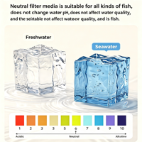 Brique de culture bio premium en gypse fritté, support filtrant poreux pour aquarium, bac à poissons, filtre externe, bassin, eau douce et marine