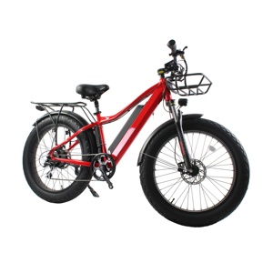 Wholesale 1000watt 48v Bici Elettrica/mid Drive Enduro Ebike Electric City <strong>Bike</strong> For Adult/hot Light Weight Sports Sepeda Listrik - Product Image 1