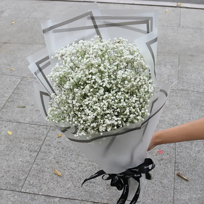 Fabriek Groothandel Bruids Babysbreath Gypsophila Gedroogde Bloemen Boeket Bruiloft Pols Corsage Valentijnsdag Cadeau Ideeën 2023