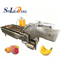 Continue roestvrijstalen fruit- en groentewasmachine met belletjeswasmogelijkheid voor aardappel, wortel, cassave, appel, sinaasappel en voedselverwerking