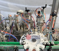 Machine de remplissage automatique d'aérosols de neige en spray YB-QW2, ligne de remplissage de gaz pour aérosols en boîte de conserve de 400 ml et 500 ml