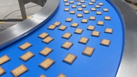 Nouvelle Ligne de Production de Biscuits et Gâteaux Entièrement Automatique SKYWIN, Haute Efficacité, Garantie 1 An, Prix Usine, Alimentaire