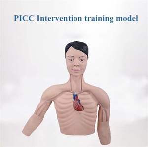Simulador de Intervención PICC, Maniquí de Catéter <span class=keywords><strong>Venoso</strong></span> <span class=keywords><strong>Central</strong></span> y <span class=keywords><strong>Periférico</strong></span>, Modelo Educativo, Ayuda para la Formación Médica - Product Image 4