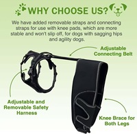 Attelle de genou réglable et portable pour chien – Manchon de soutien sûr et souple pour la patella et les articulations des pattes arrière, idéal pour les blessures au ligament croisé avant (LCA), l'arthrite et la récupération post-chirurgicale
