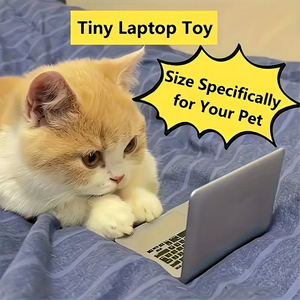 Petit écran réfléchissant de <span class=keywords><strong>jouet</strong></span> pour animaux de compagnie interactif de miroir de <span class=keywords><strong>chat</strong></span> de résine portative durable aucune batterie requise fournissant intellectuel - Product Image 6