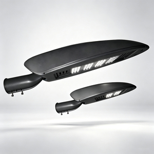 Mini <span class=keywords><strong>lampadaire</strong></span> LED ovale de style coréen, lampe de route décorative en alliage d'aluminium, AC 30W 50W 100W IP66 IK08 - Product Image 1
