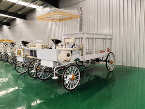 Carroza Fúnebre Eléctrica de Lujo, Estilo Carruaje Real Vintage, Color Personalizado, Carroza de Transporte de Ataúdes de Vidrio para Ceremonias Fúnebres - Product Image 1