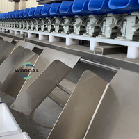 Automatische Sorteermachine Voor Fruitgroente