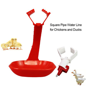 Bebedero para Aves <span class=keywords><strong>de</strong></span> Corral con Boquilla <span class=keywords><strong>de</strong></span> Acero Inoxidable, Compatible con Tubería Cuadrada <span class=keywords><strong>de</strong></span> 22 mm, Línea <span class=keywords><strong>de</strong></span> Agua, Bebedero Automático para Pollos, Patos, Gansos y Codornices - Product Image 1