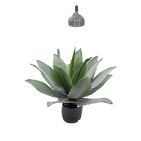 Plante Artificielle Tropicale Réaliste : Cactus, Succulente, Aloès Vera – Décoration Scandinave pour Maison et Jardin en Plastique, Résistante à l'Eau