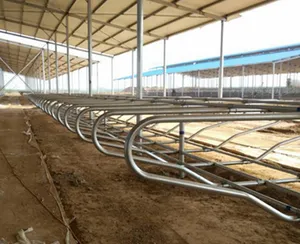 牛の繁殖位置決めバーシングル牛のベッドベッドに横たわっている牛ステンレス鋼の牛の仕切り牛農場プロフェッショナルフェンス