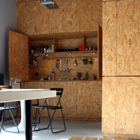Panneau mural OSB de 9 mm, surface finie en usine