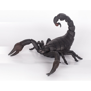 Arthropods Animals Series 3D Ecológico Material suave Caucho Plástico Negro Escorpión Juguetes para la venta - Product Image 2