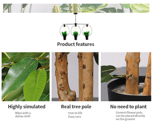 QiHao-Planta Artificial <span class=keywords><strong>Ficus</strong></span> Microcarpa Banyan, árbol bonsái, tamaño personalizado para decoración de interiores - Product Image 5