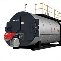 Chaudière à vapeur industrielle horizontale à tubes de feu basse pression, alimentée à la biomasse et au gaz, pour le chauffage des hôtels et l'alimentation en eau chaude