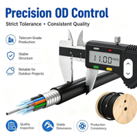Cable Óptico Monomodo G652D Blindado con Cinta de Acero PBT, Conductor Sólido GYTS, 48 Hilos, para Exteriores, Alta Resistencia, Baja Pérdida, Telecomunicaciones, 2 km