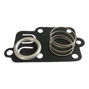 <span class=keywords><strong>Kit</strong></span> de diaphragme de <span class=keywords><strong>carburateur</strong></span> 5021 5021K pour BS 270026 272637 692206 260455 690766 221377 Spring - Product Image 1