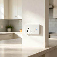 Tuya WiFi 2.4GHz Smart Socket Pengukur Daya 16A Colokan AS Kontrol Jarak Jauh Pengaturan Waktu Suara dengan Alexa Google Home Automation