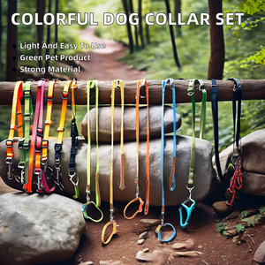 Set Kalung dan Tali Anjing Modern Mewah untuk Anjing Kecil dan Sedang, Aksesori Pelatihan Hewan Peliharaan, Ringan, Bahan Poliester, Tahan Lama, dan Menarik Perhatian - Product Image 4