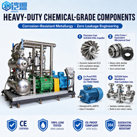 2BEA-202 Pompa Vakum Cincin Cairan Kimia Skid Sistem Vakum Industri yang Disesuaikan untuk Pemrosesan Kimia