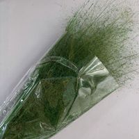 Broom Bloom Gedroogde Bloemen, Gedroogde Bloemenvulling voor Boho Bruiloft Boog, Tafeldecoratie, Bruidsboeket, Evenement Styling Decoratie
