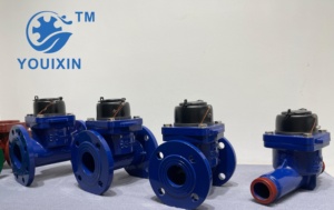 YOUIXIN LXLG-65 Medidor de Agua de Turbina con Brida de Alta Precisión IP68 DN50-200mm, Medidor de Flujo de Gran Diámetro para Agricultura y Ríos - Product Image 4