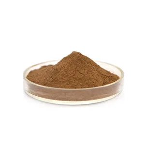 Melhor Qualidade Birch Leaf Extract 10:1 20:1 Orgânico Birch Leaf Powder