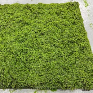 Cao cấp yzeco sinh thái thân thiện nhân tạo rêu thảm-bền tùy chỉnh kích thước cho bền vững vườn & tường thiết kế - Product Image 2