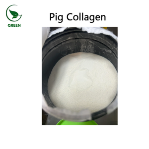 Kozmetik, Gıda Sınıfı ve Diyet Takviyesi Uygulamaları için Premium Hidrolize Domuz Kolajeni - Product Image 2