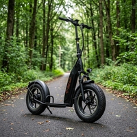 Trottinette électrique tout-terrain à gros pneus 500W 48V avec moteur intégré, nouveau design, longue autonomie, intelligente, livraison rapide