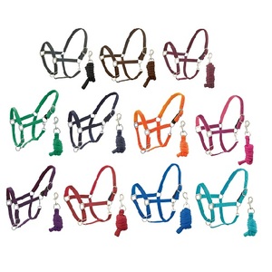 Harnais d'entraînement pour chevaux durable avec sangles en cuir et nylon, muserolle rembourrée réglable, collier confortable avec fermeture à pression - Product Image 4