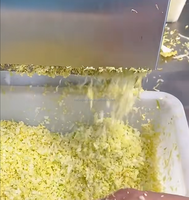 20-in-1 kleine groentesnijmachine voor bladgroenten, geschikt voor broodjeszaken, restaurants en voedselverwerking