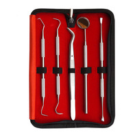 Kit d'outils dentaires en acier inoxydable pour le nettoyage des dents, détartreur, cure-dents, pinces, éliminateur de plaque et de tartre, ensemble de soins bucco-dentaires avec sac de rangement