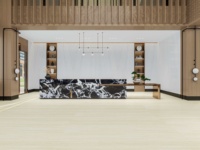 Planche de pierre frittée blanc glace arctique 1600x3200mm, épaisseur 12mm, carreaux émaillés pour sol/mur de salon, design moderne
