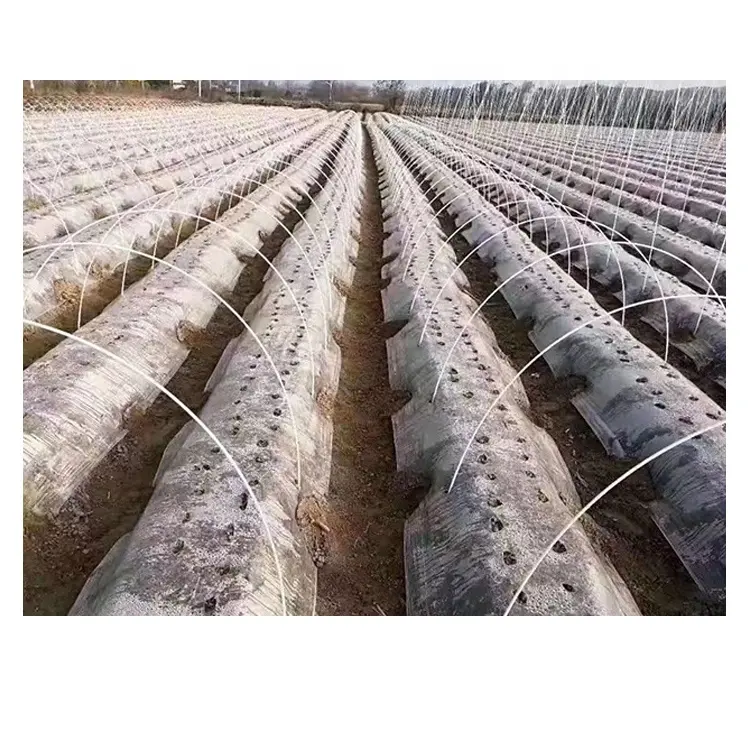 정원/식물 보육 유리 섬유 말뚝/봉