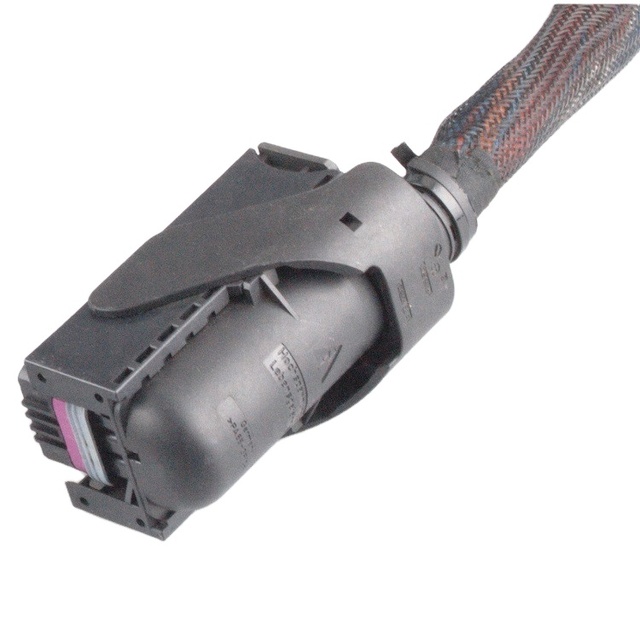 Customer Electronic Control Unit Wire Harness for Automotive ECU