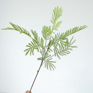 Plantes artificielles en <span class=keywords><strong>mimosa</strong></span> en matériau doux en gros, feuilles de <span class=keywords><strong>mimosa</strong></span> au toucher réel, sensation douce, feuilles de <span class=keywords><strong>mimosa</strong></span>, faible MOQ, plantes artificielles - Product Image 6