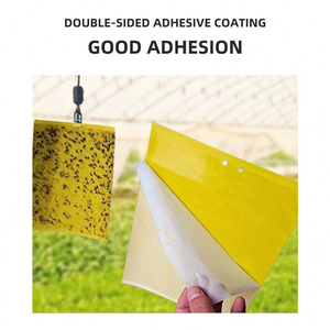 Piège collant double face en plastique jaune et bleu pour thrips et petites mouches – Planche anti-insectes écologique pour le contrôle des ravageurs - Product Image 4
