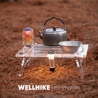Table pliante WELLHIKE Outdoor SWS Xuanqi Mini 1 unité IGT - Tablette en acrylique pliable pour le camping en plein air, table basse