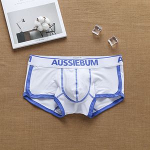 Pure Cotton Fashionable Trendy <strong>Boxer</strong> Shorts With Low Waisted Youth <strong>Boxer</strong> Brief - Product Image 5