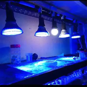 Светодиодная лампа для аквариума