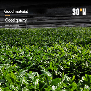 Fabricante de <span class=keywords><strong>té</strong></span> verde de alta calidad deshidratado puro <span class=keywords><strong>Ceremonial</strong></span> <span class=keywords><strong>Matcha</strong></span> <span class=keywords><strong>té</strong></span> en polvo Natural orgánico económico sabor Original - Product Image 4