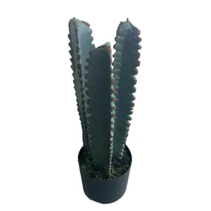 Hign Quality Decor Christmas Succulent Saguaro Cactus Artificial Plant High Quality Potted Green Plants Desktop Decoration