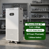بطارية منزلية Dyness PowerBrick SC بسعة 16.076 كيلوواط ساعة و314 أمبير ساعة من نوع LiFePO4، نظام تخزين طاقة شمسية قابل للتوسعة حتى 803.84 كيلوواط ساعة