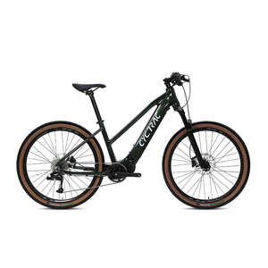 Vélo électrique de ville en alliage d'aluminium décontracté de 16 pouces avec batterie cachée et dérailleur de vélo livraison directe disponible - Product Image 5