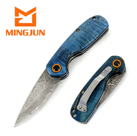 Couteau de survie miniature pliable en acier Damas de haute qualité avec manche en bois pour l'extérieur