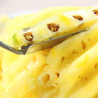 Concurrerende prijs roestvrijstalen V-vormige ananas schiller fruitspatel voor thuis/keuken
